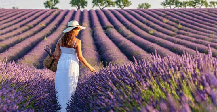 Nice şehrinden: Tam Günlük Provence ve Lavanta Turu