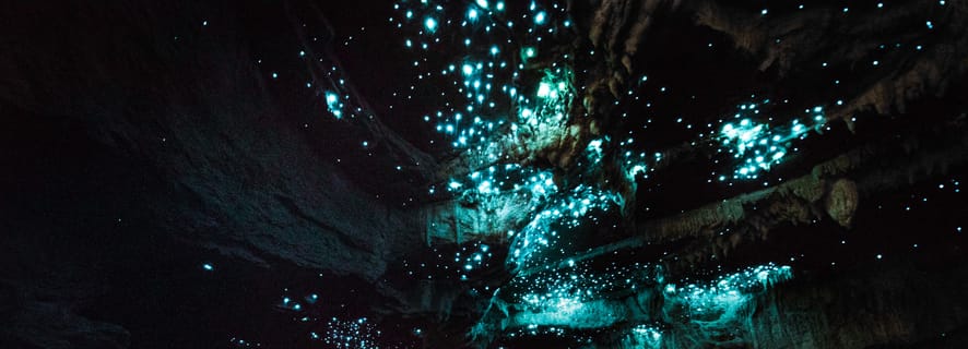 Waitomo Glowworm Caves, Waitomo - Book Tickets & Tours | GetYourGuide