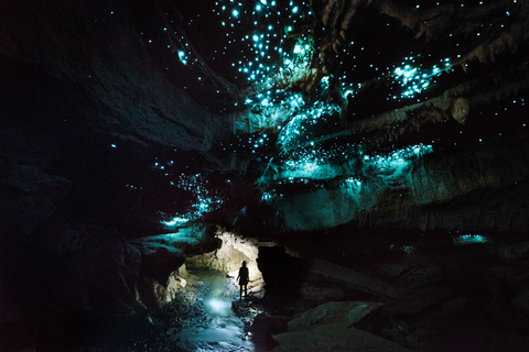 Waitomo: Eco-Cave rondleiding met gids