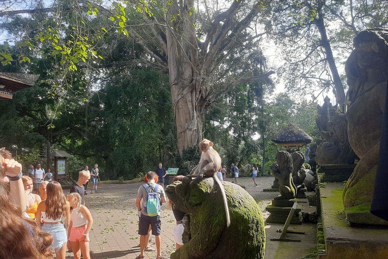 Ubud: Foresta di scimmie, terrazze di riso e cascateUbud: Foresta di scimmie, terrazza di riso e cascata