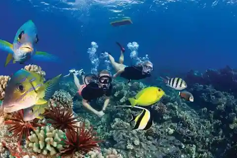 Two Stop Deluxe Molokini Snorkel
