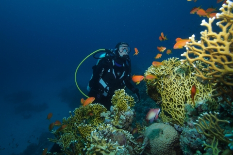 Tenerife: Stage de plongée sous-marine de 3 jours en Open WaterTénérife: Open Water Scuba Diver