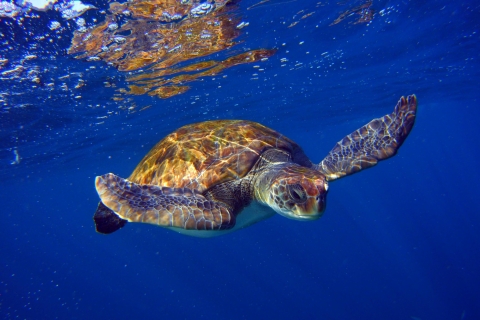Tenerife: Curso de buceo de 3 días en aguas abiertasTenerife: Open Water Scuba Diver