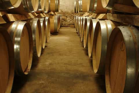 fullday wine tour in bellet saintpaul de vence from nice