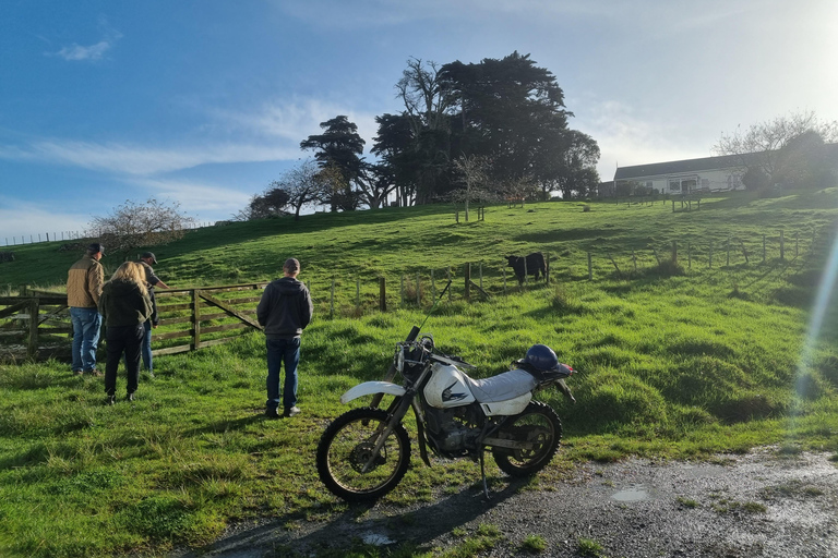 Sheep & Beef Working Farm Private Tour