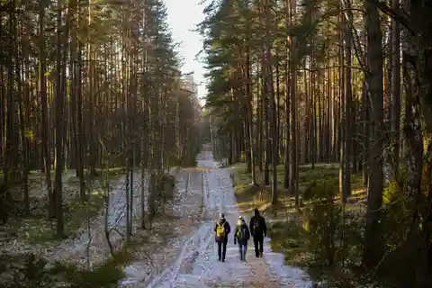 Visaginas: Wandern in wilder Natur im Gražutės Regionalpark
