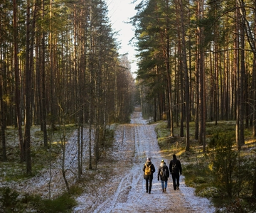 Visaginas: Caminhadas na natureza selvagem no Parque Regional de Gražutės