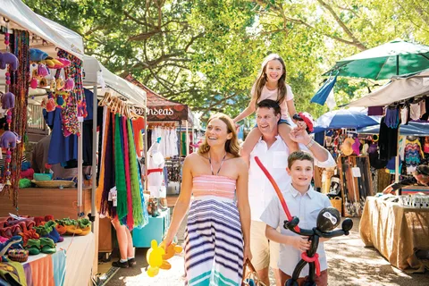 Sunshine Coast Hinterland y Noosa Tour en grupo reducido