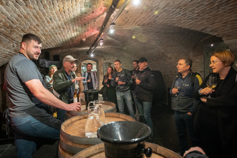 Vanuit Wenen: ontdek de smaken van Bratislava tijdens een dagtocht