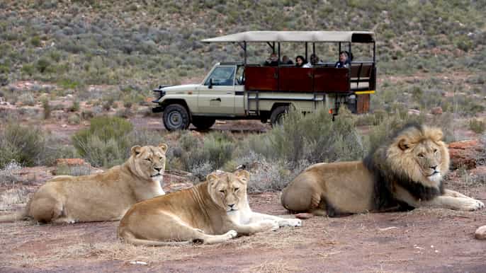 unità privata di gioco dellaquila safari mattutino