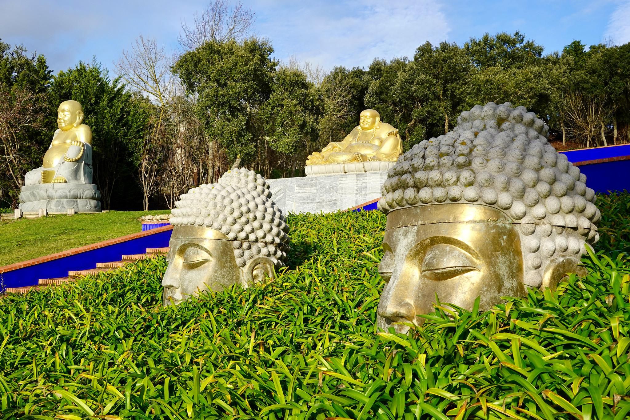 Lissabon: Höhlen von Mira Aire, Porto de Mós & Buddha Eden Tour