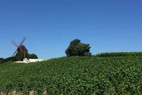 From Paris: Day Trip to Champagne