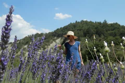 From Avignon: Private Walking Tour from Gordes to Sénanque