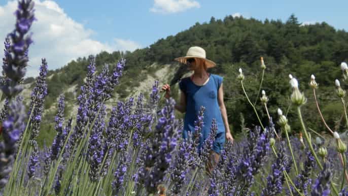 davignon visite privée à pied de gordes à sénanque