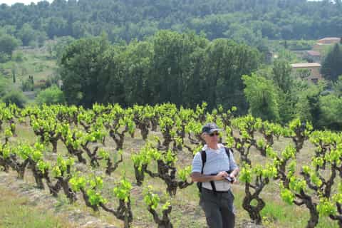 Chateauneuf du Pape: Private Guided Walking Tour