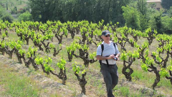 châteauneuf du pape visite guidée privée à pied