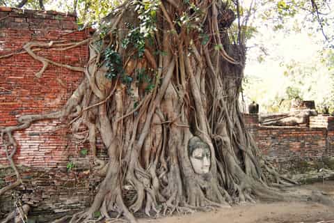 Ancient Ayutthaya UNESCO World Heritage Site Private Tour