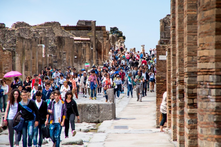Ab Pompeji: Private Tour zum Vesuv