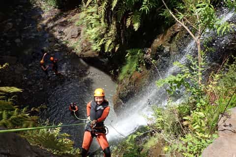 Funchal: Half–Day Easy Canyoning Experience
