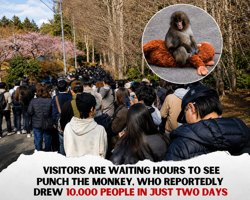 東京発：市川動物園プライベート日帰りツアー（ガイド付き）