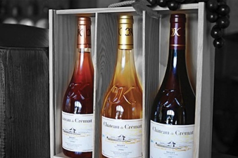 Desde Niza: degustación privada de vinos BelletTour en inglés, francés o español.