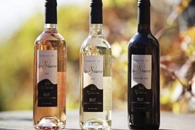 De Nice: Dégustation privée de vins de BelletTour en anglais, français ou espagnol
