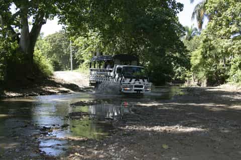 Puerto Plata Day Trip: Wildlife, Beaches & Local Flavor