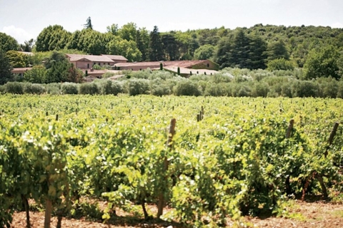 De Nice: Dégustation de vins de ProvenceTour en anglais, français ou espagnol