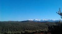 Visite d'expérience de l'huile d'olive Terra Creta - Hizvo