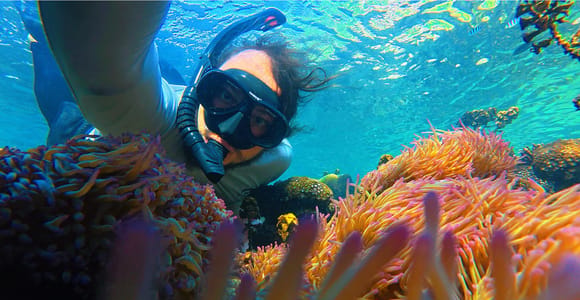 Phu Quoc: Private Real Reef Snorkeling by Speedboat
