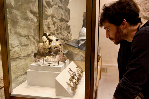 Parijs: rondleiding van 2 uur door het Louvre