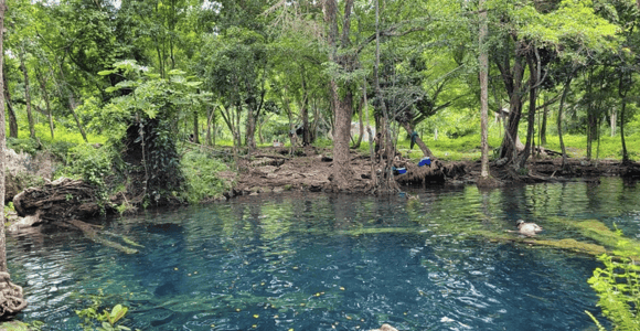 Punta Cana: Cenote Swim, Macao Beach, & Shopping Tour