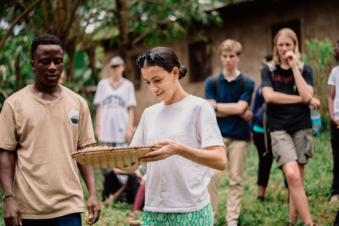 Coffee Tour Arusha: Från frö till kopp med Kingstone Asilia