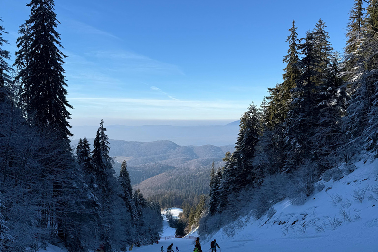 Desde Bucarest: Excursión de un día para esquiar en Poiana Brasov