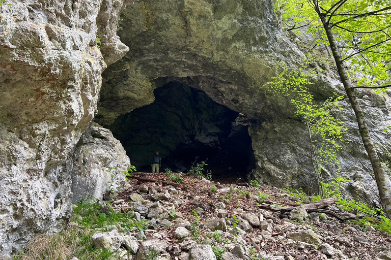 From Bled: Half-Day Pokljuka Gorge Trail Hike (Private)