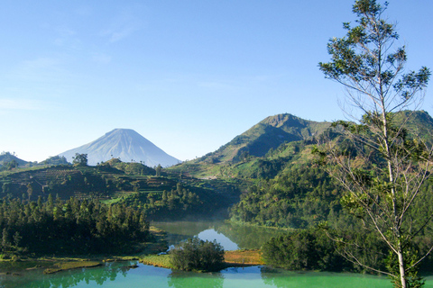 De Yogyakarta: viagem guiada ao nascer do sol dourado do platô de Dieng