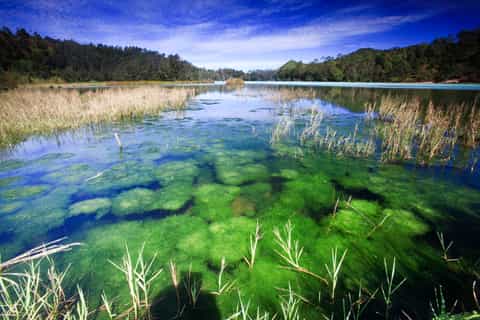 Da Yogyakarta: Dieng Plateau Golden Sunrise Trip