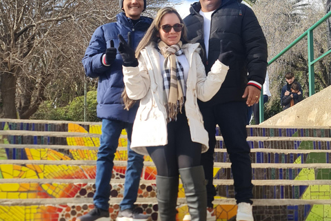 Santiago: Viña del Mar + Casa Blanca Valley + Valparaiso Heritage Tour
