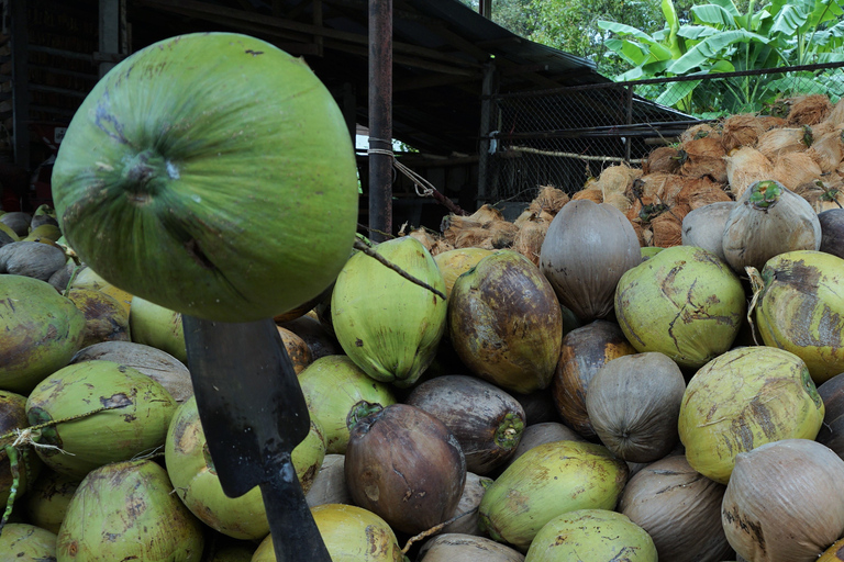 Koh Samui: 4x4 Off Road Island Safari Tour Including Lunch