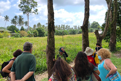 Koh Samui: 4x4 Off Road Island Safari Tour Including Lunch