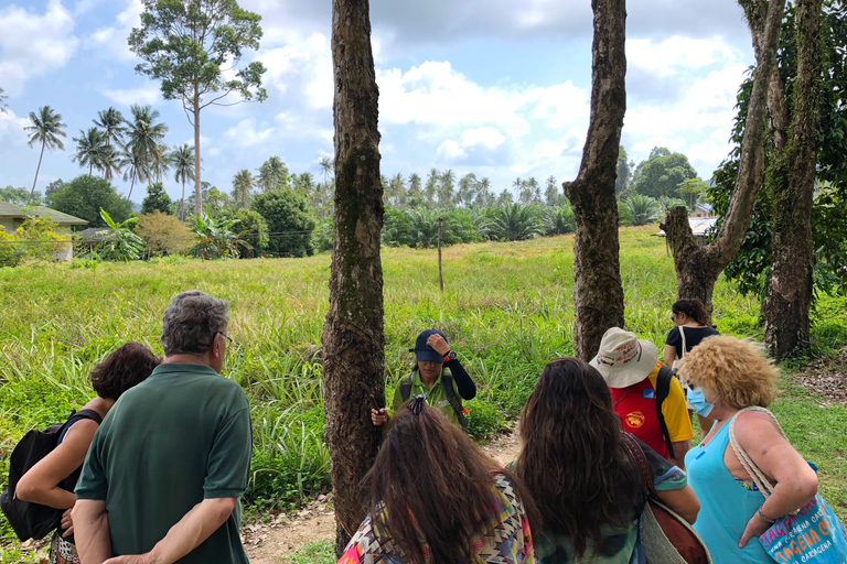 Koh Samui: 4x4 Off Road Island Safari Tour Including Lunch