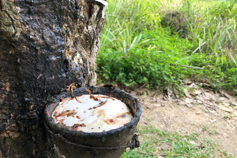 Koh Samui: 4x4 Off Road Island Safari Tour Including Lunch