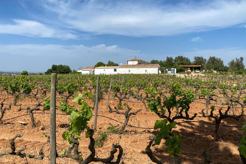 Lagos, Praia da Luz: Wine Tour, Tastings, Tapas and Music Private Pick-up Lagos and Praia da Luz