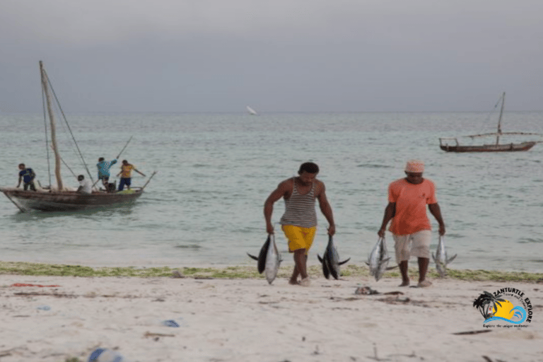 Zanzíbar: pueblo de Nungwi, bosque de Jozani y tour The RockZanzíbar: pueblo de Nungwi, bosque de Jozani y excursión a The Rock