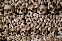 ローマ、地下室、カタコンベスアンダーグラウンドツアーを伴う転送 - Housity