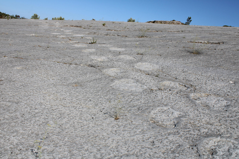 Lissabon: Dinosaurier-Fußabdrücke, Höhlen und Óbidos-TourTour für kleine Gruppen: Dinosaurierfußabdrücke, Höhlen und Óbidos