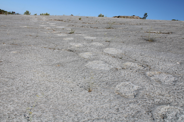 Lissabon: Dinosaurier-Fußabdrücke, Höhlen und Óbidos-TourTour für kleine Gruppen: Dinosaurierfußabdrücke, Höhlen und Óbidos