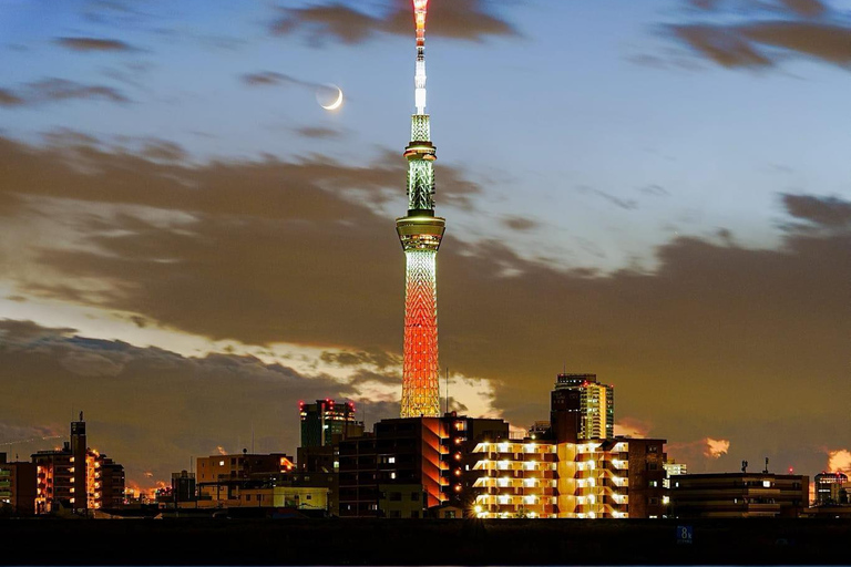 Tour de día completo por la ciudad de Tokio con recogida y regreso