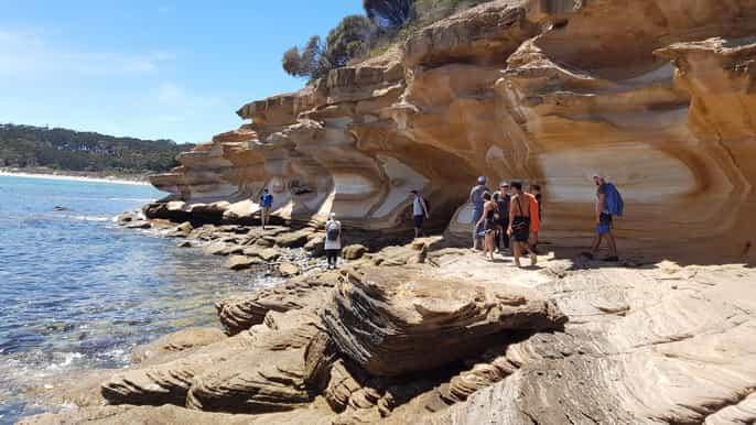 maria island day trip with walk wombats and picnic lunch