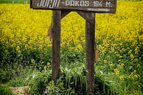 Novigrad Podravski: Vineyard Walking Tour in Podravina